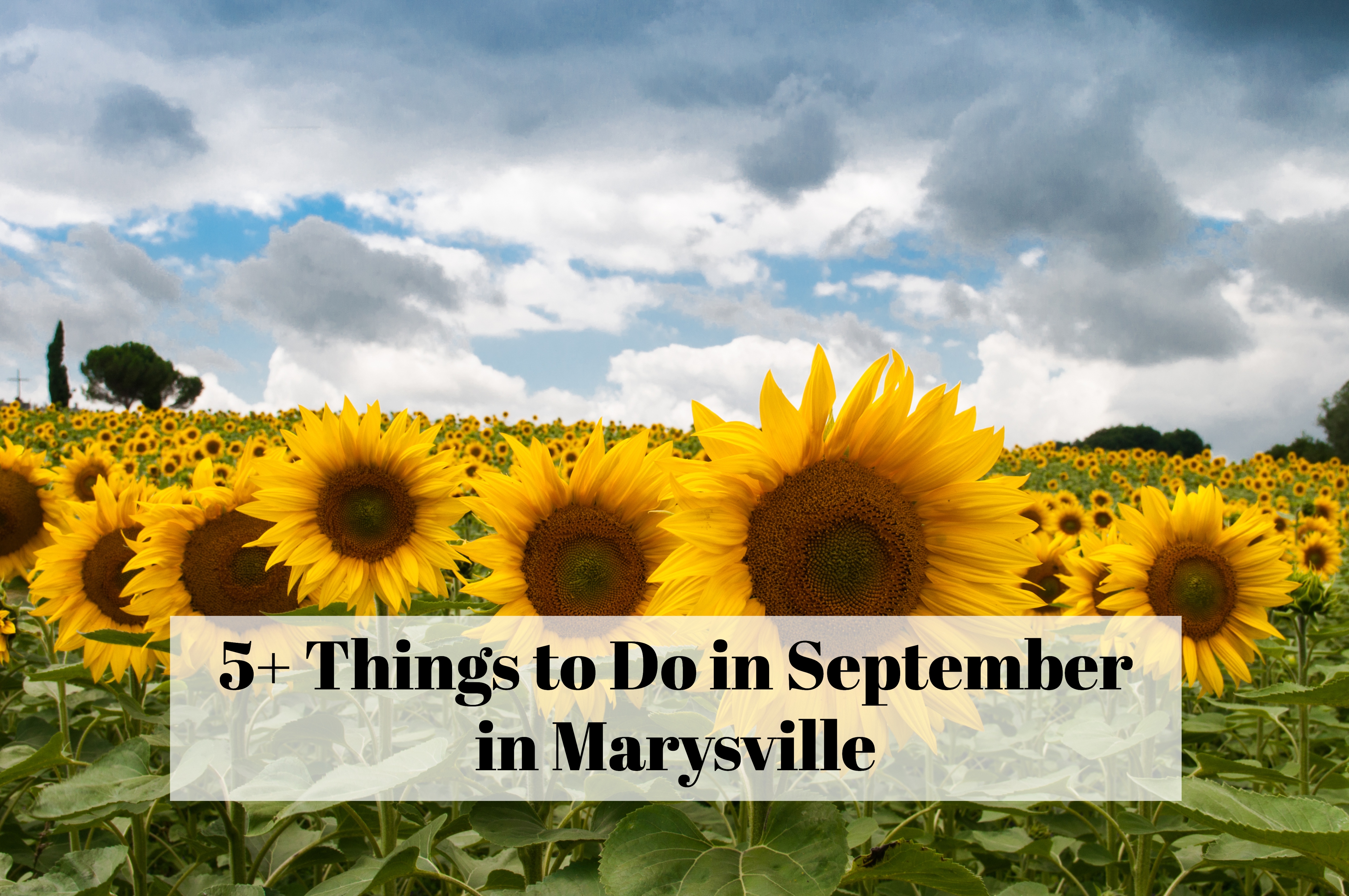 September In Ohio 5+ Things to Do in September in Marysville {2020} – What's Up ...